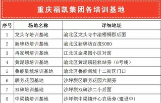 重慶福凱駕校 海量高清圖片庫背后的駕馭之道